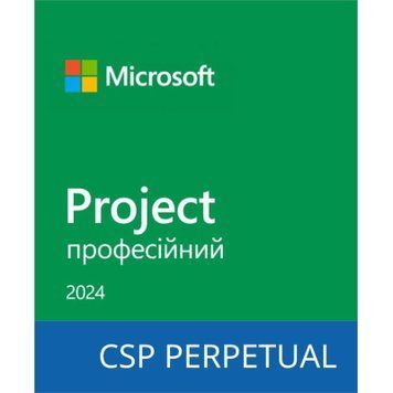 Project Professional 2024 DG7GMGF0PN45 _ 0001 фото