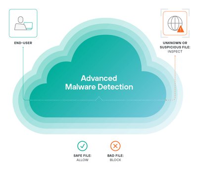 Forcepoint Advanced Malware Detection (Forcepoint_AMD) 41938 фото
